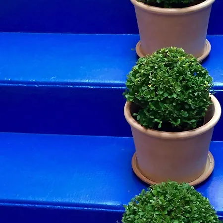 Hotel Design Les Bains Douches 3*