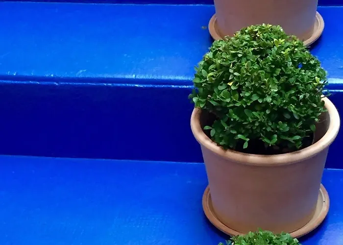 Hotel Design Les Bains Douches 3*